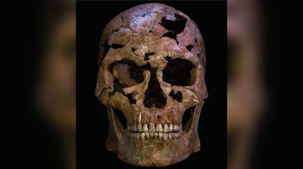 Ученые раскрыли детали первого убийства в истории человечества