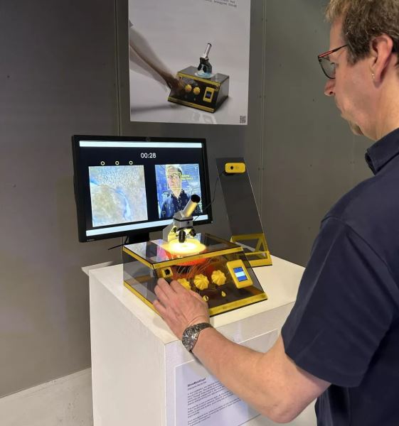 Живой слизевик поможет создать надежный криптографический ключ