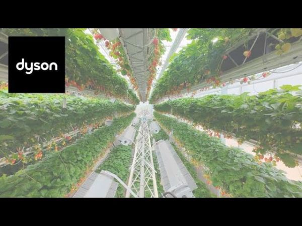 На ферме Dyson выращивают клубнику в гигантских роботизированных колесах